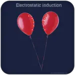 Inducción electrostática | Influencia electrostática