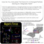 ¿Cómo calculas la fuerza sobre una partícula cargada que se mueve en un campo magnético?