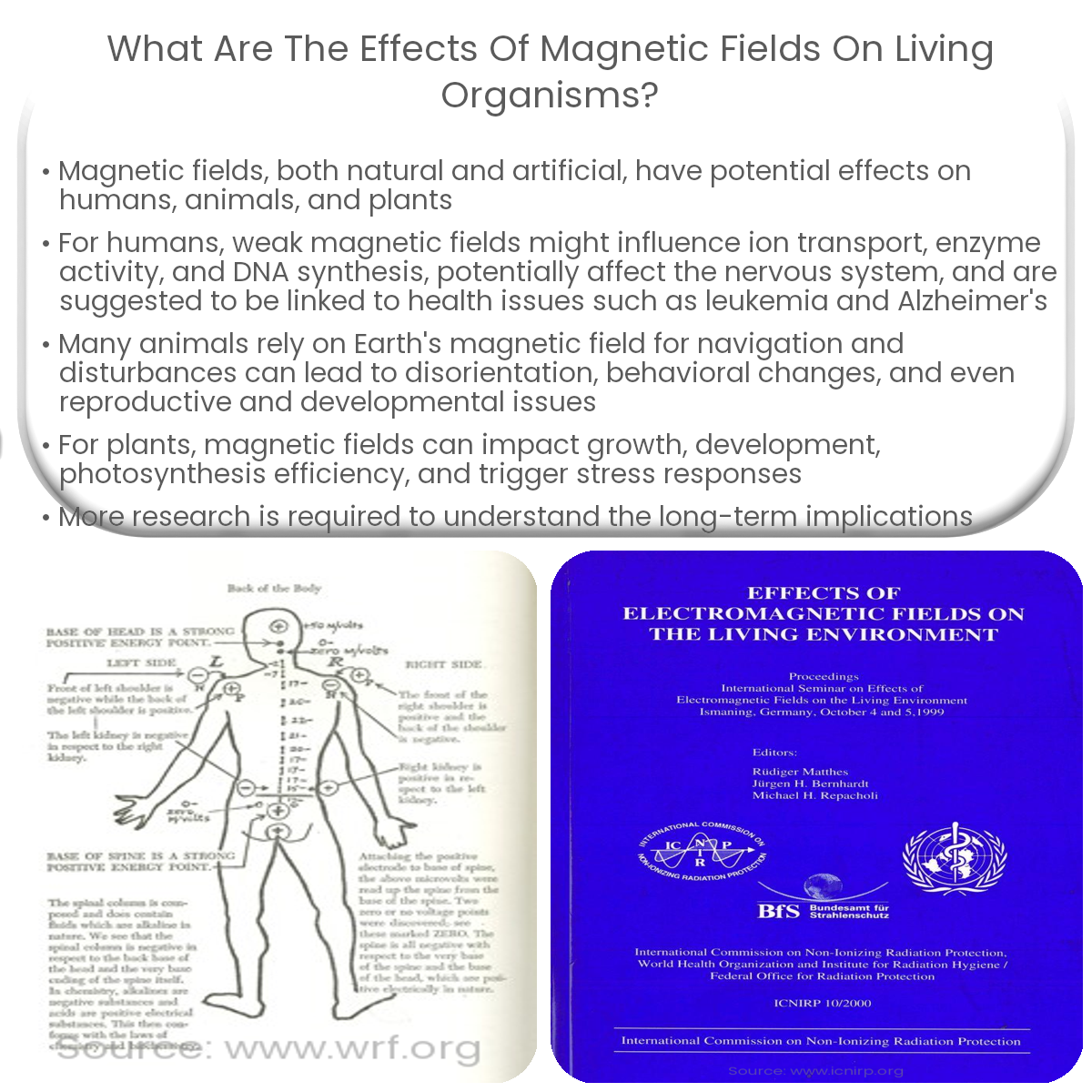What are the effects of magnetic fields on living organisms?