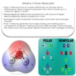 ¿Qué es una molécula polar?