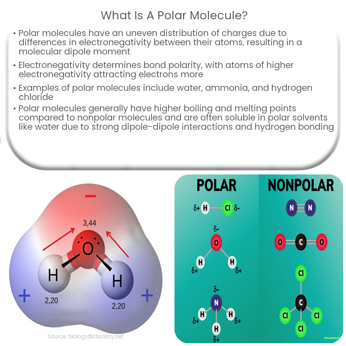 What is a polar molecule?