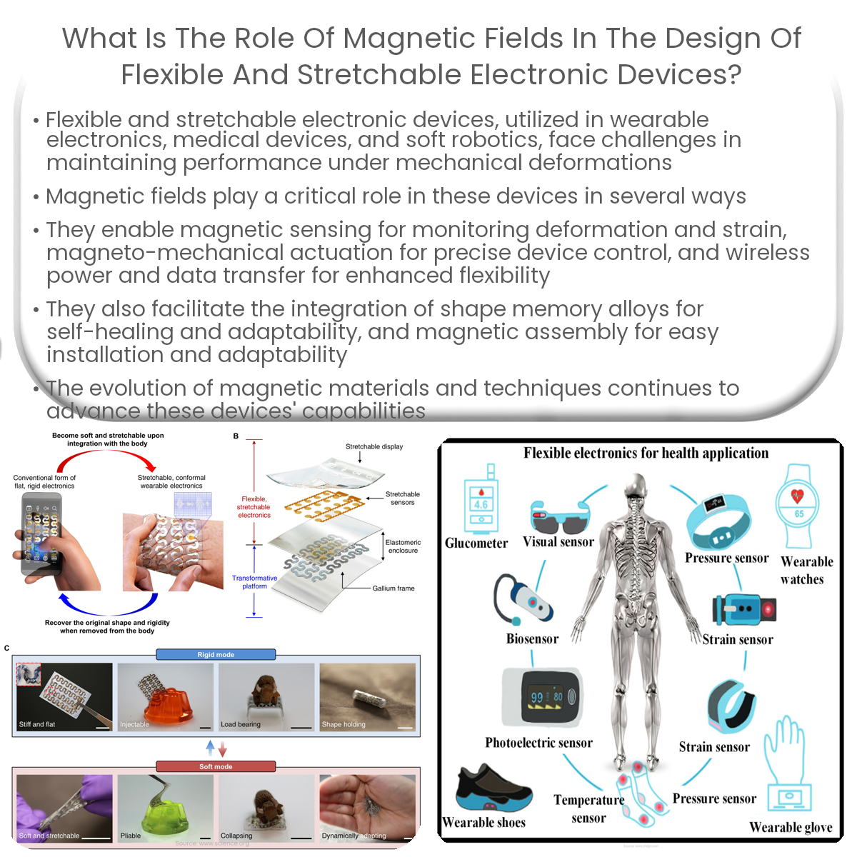 What is the role of fields in the design of flexible and