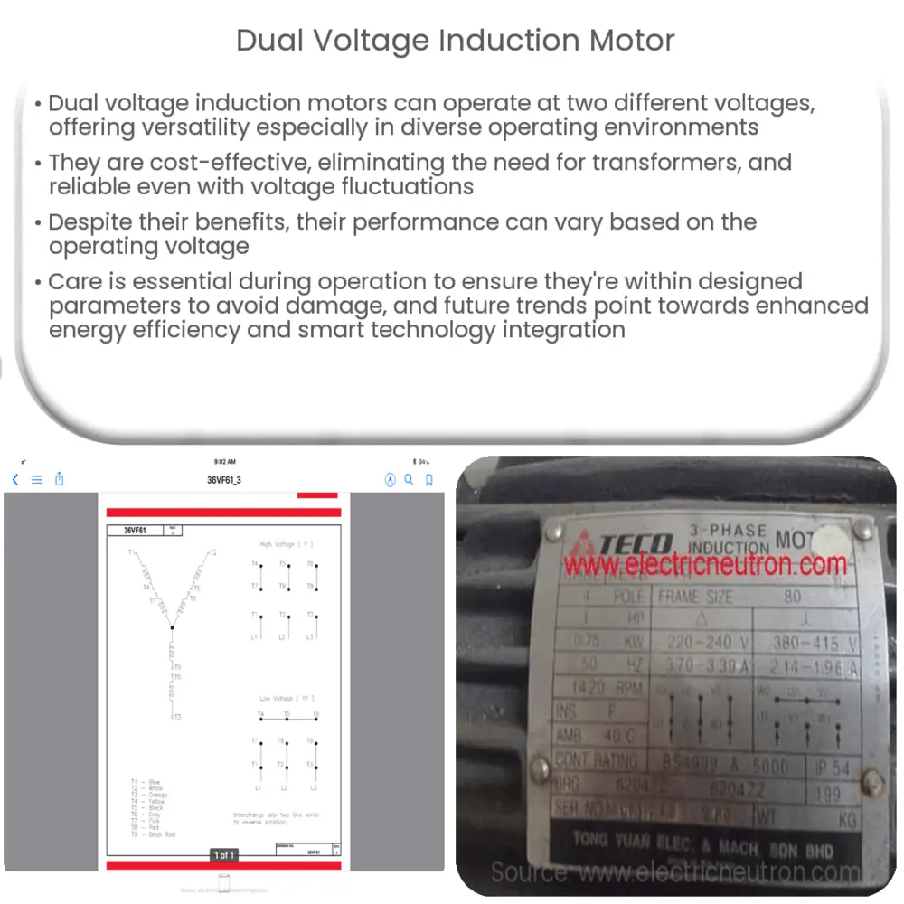 Dual Voltage Induction Motor