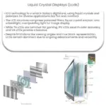 Liquid Crystal Displays (LCDs)