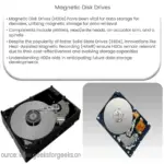 Magnetic Disk Drives