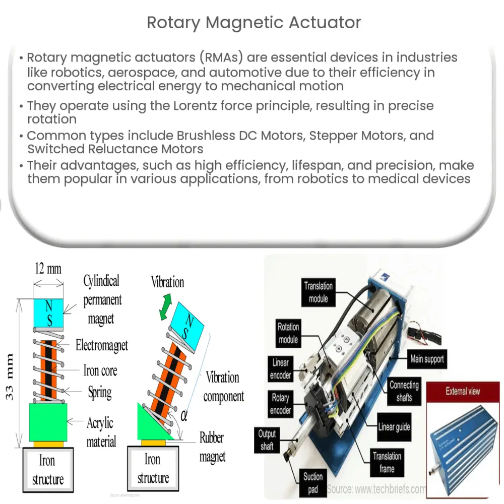 Rotary magnetic actuator