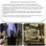 Whimshurst-Holtz machine motor