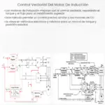 Control vectorial del motor de inducción