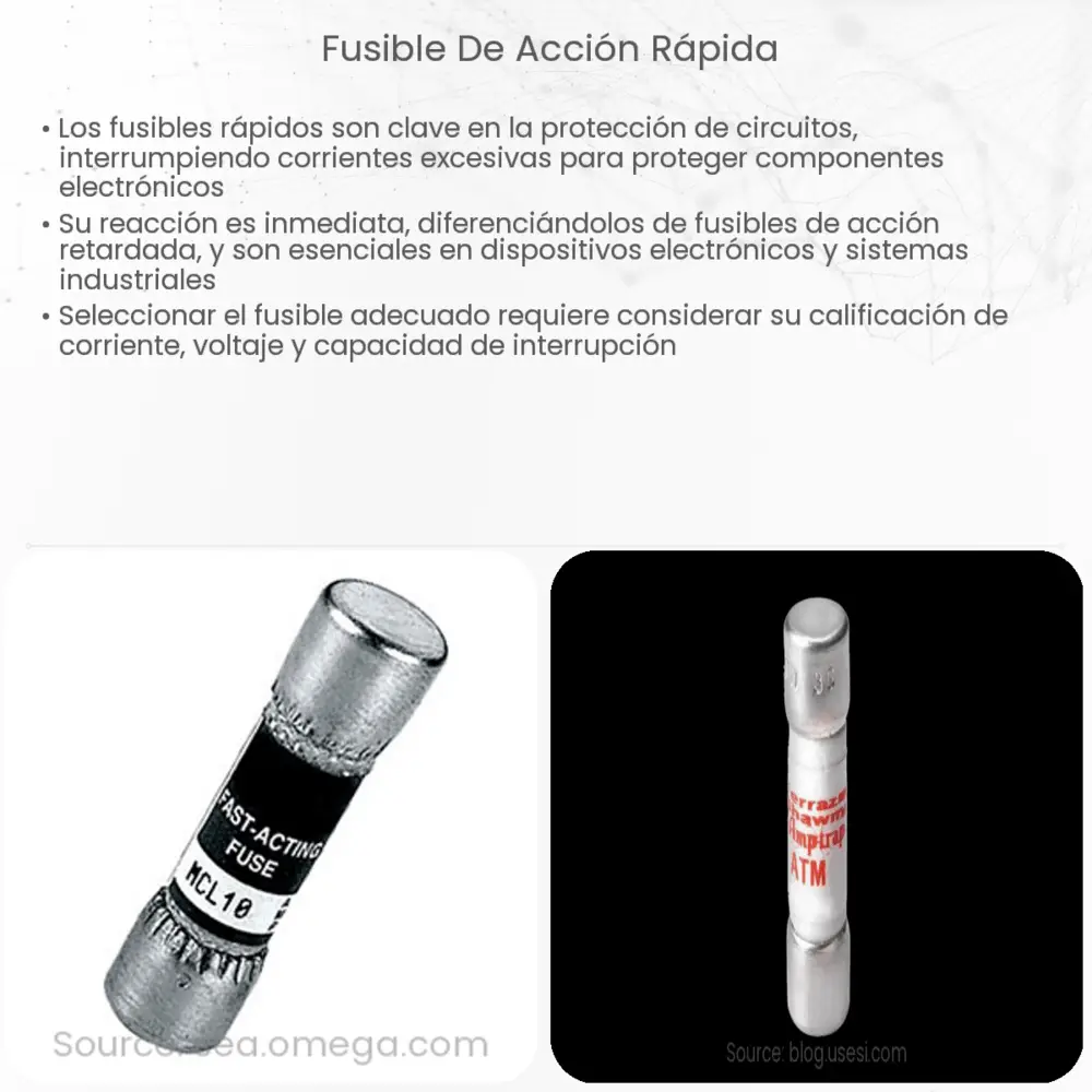 Fusible de acción rápida