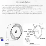 Giroscopio óptico