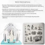 Motor electrophorus