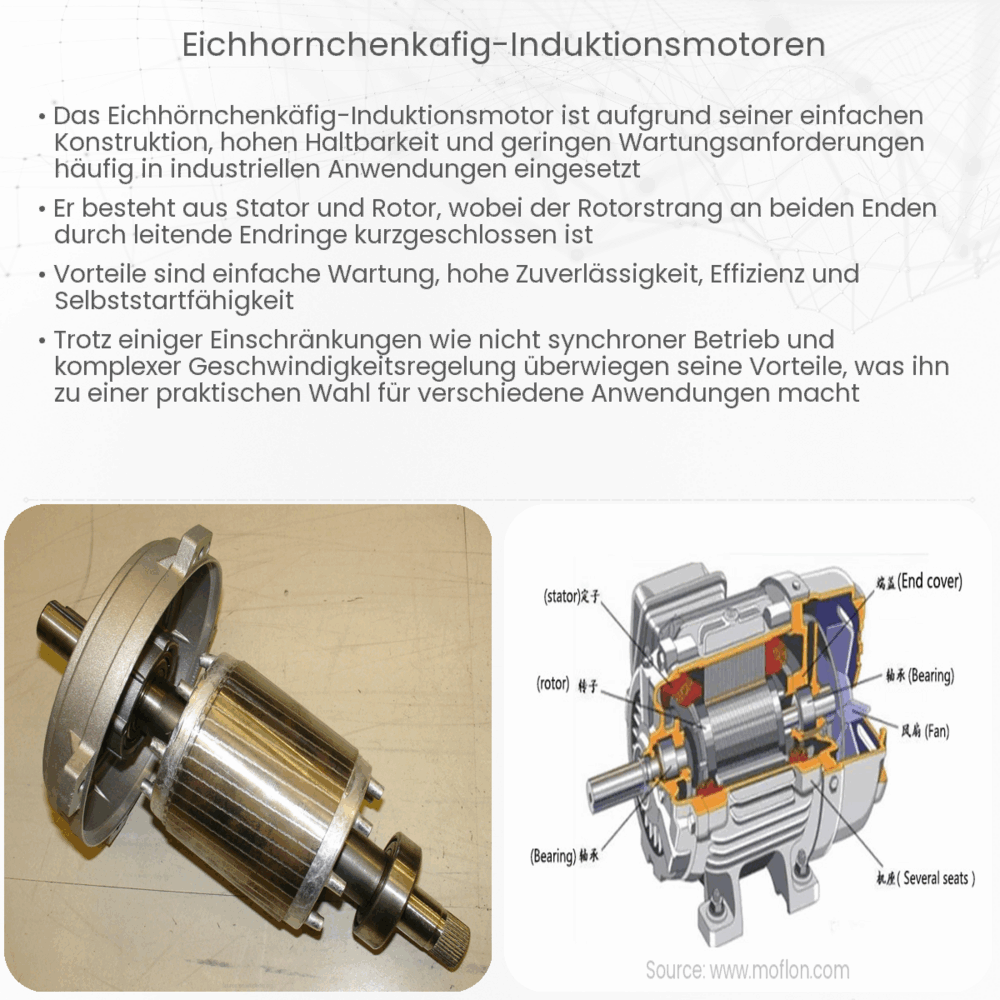 Eichhörnchenkäfig-Induktionsmotoren