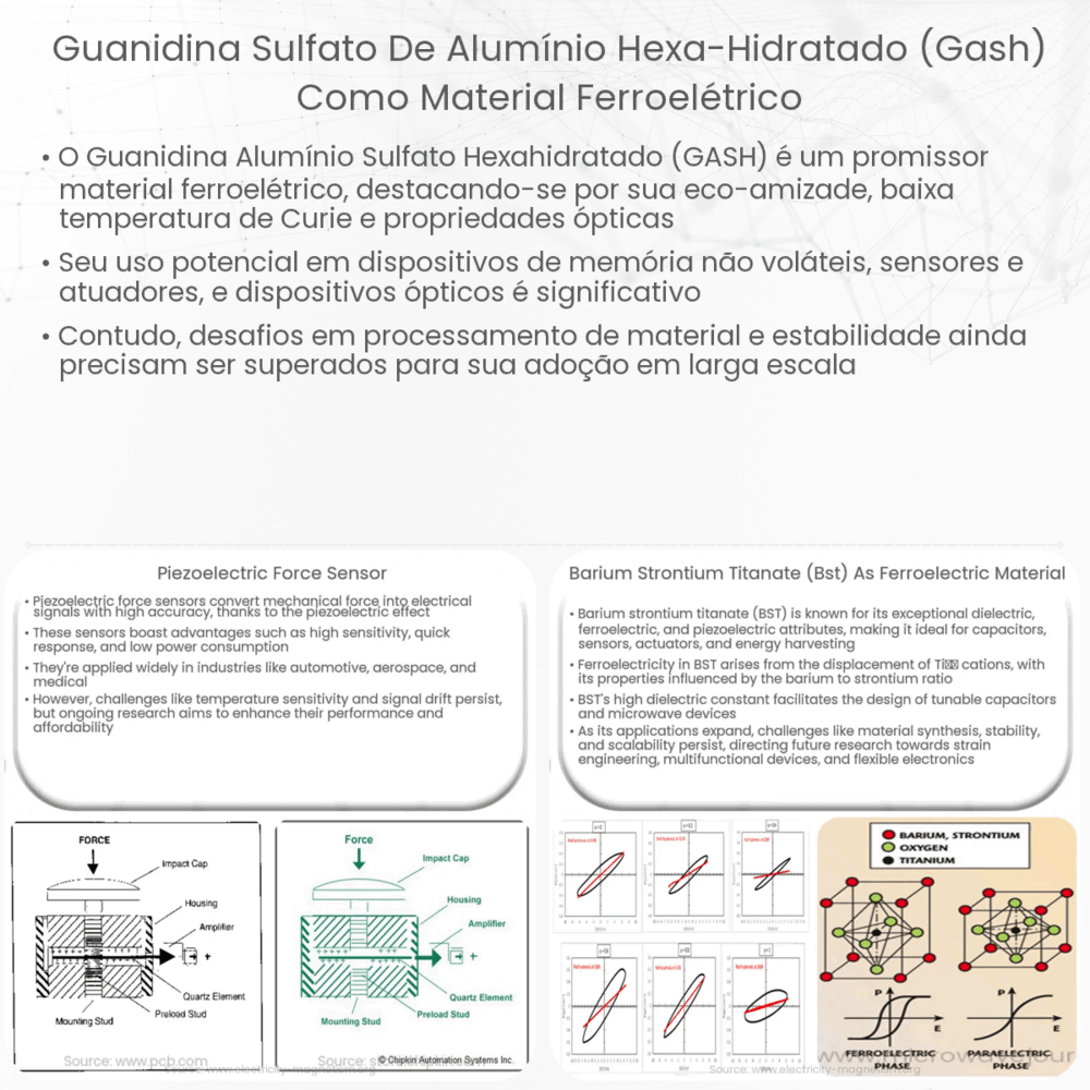 Guanidina sulfato de alumínio hexa-hidratado (GASH) como Material Ferroelétrico