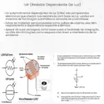 LDR (Resistor Dependente de Luz)