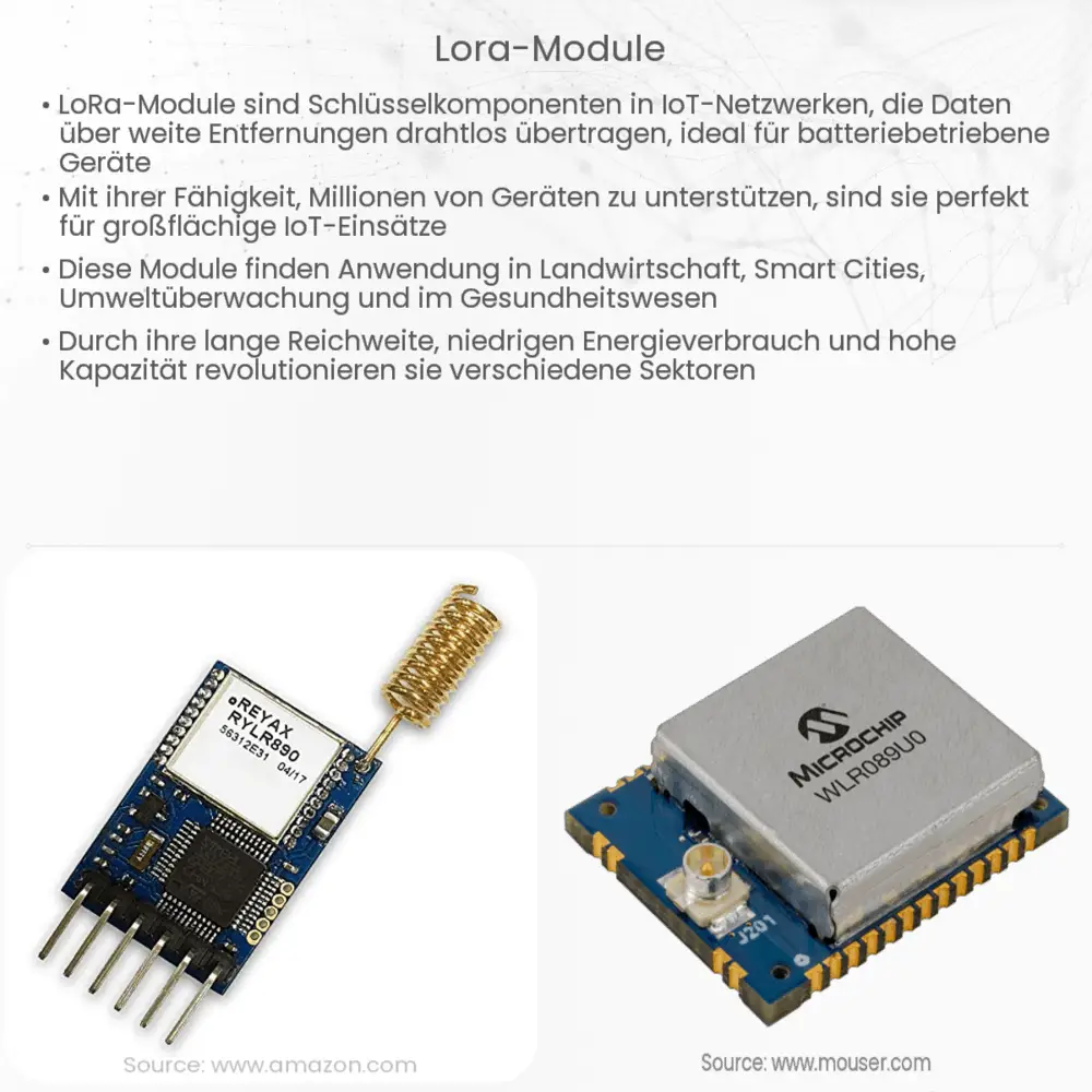 LoRa-Module