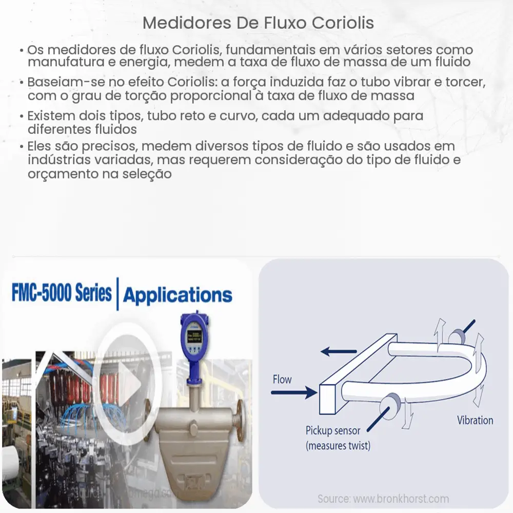 Medidores de fluxo Coriolis