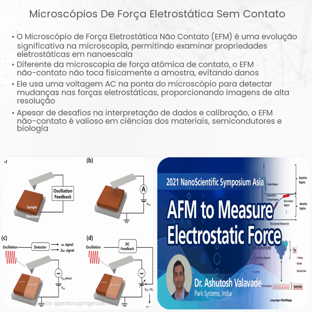 Microscópios de Força Eletrostática sem Contato