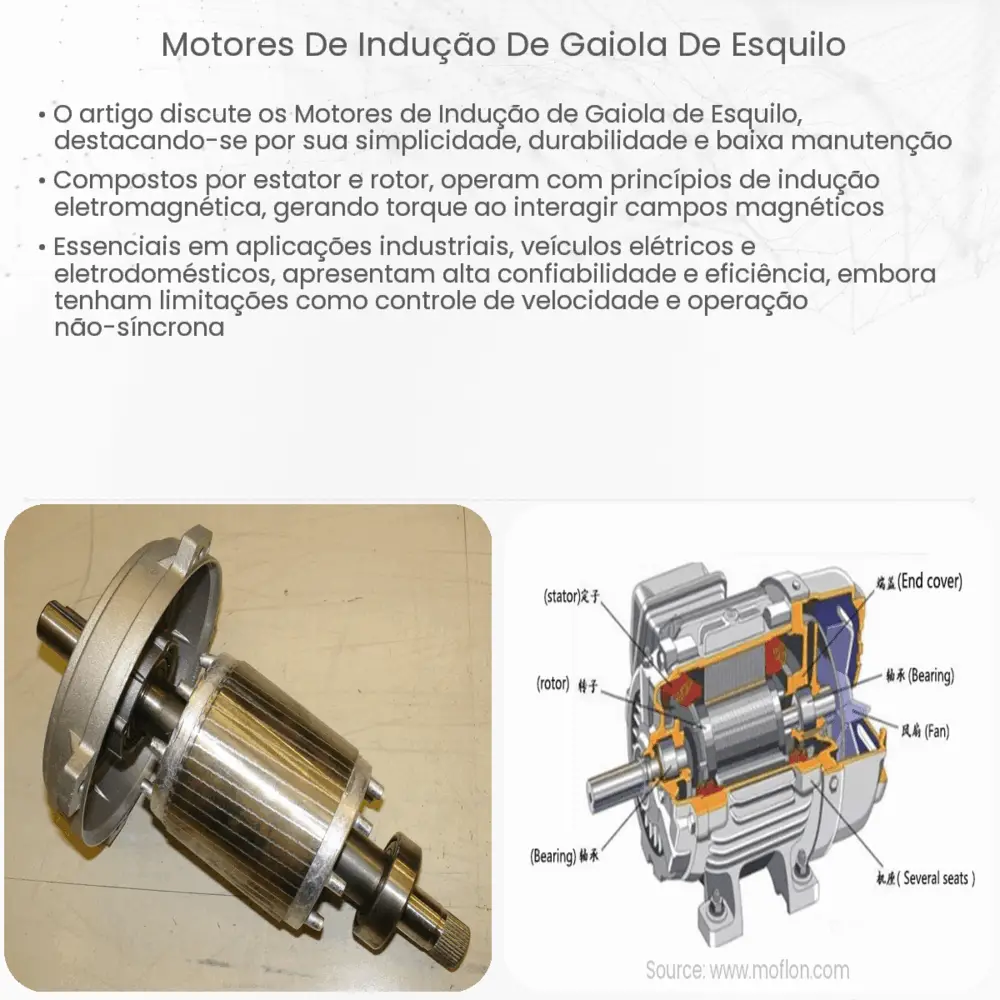 Motores de indução de gaiola de esquilo