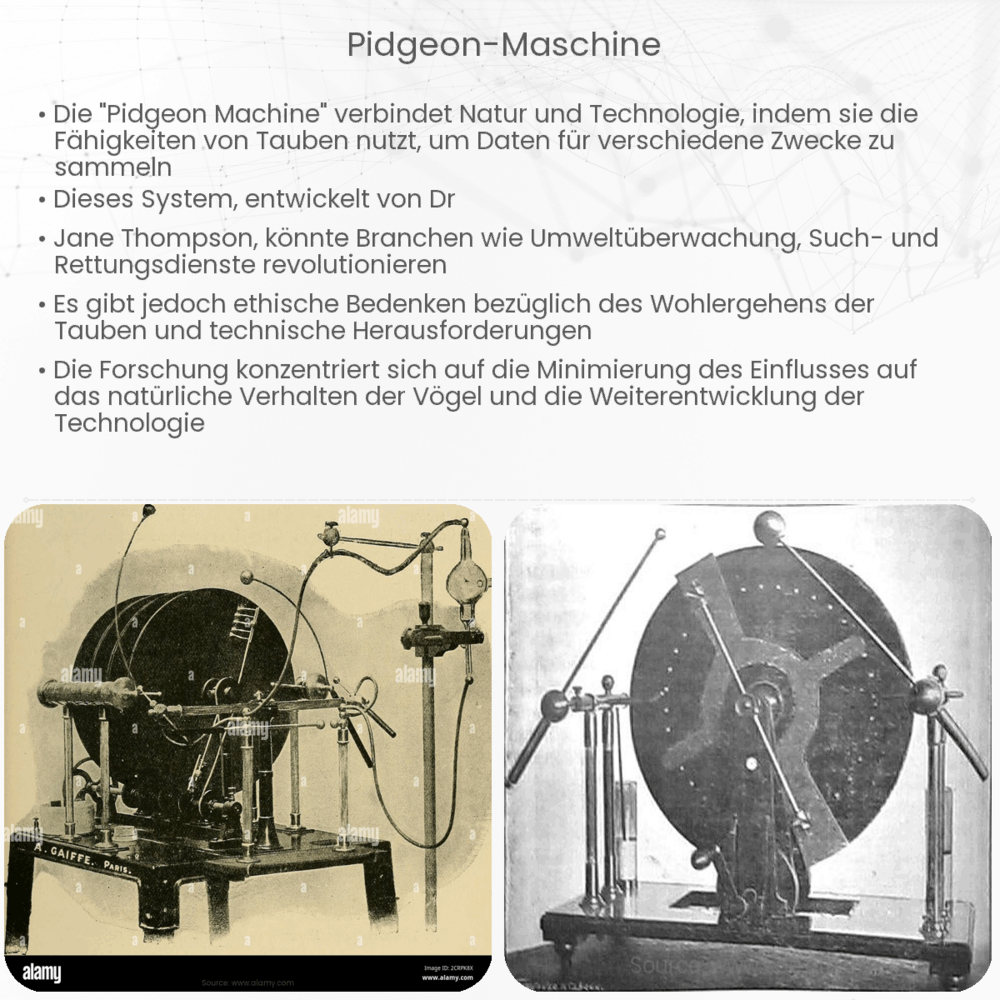 Pidgeon-Maschine