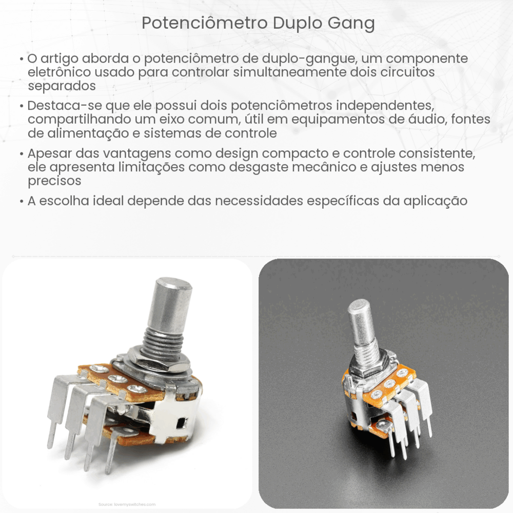 Potenciômetro Duplo Gang
