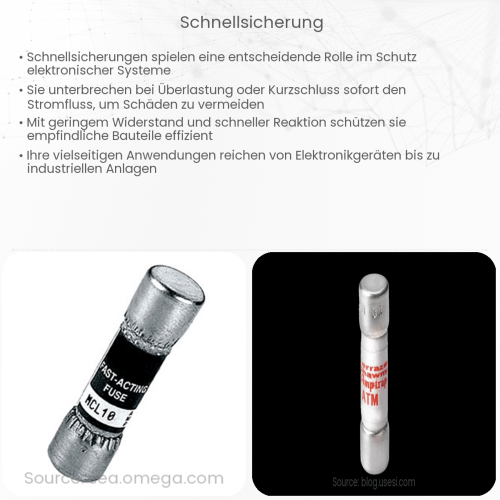 Schnellsicherung
