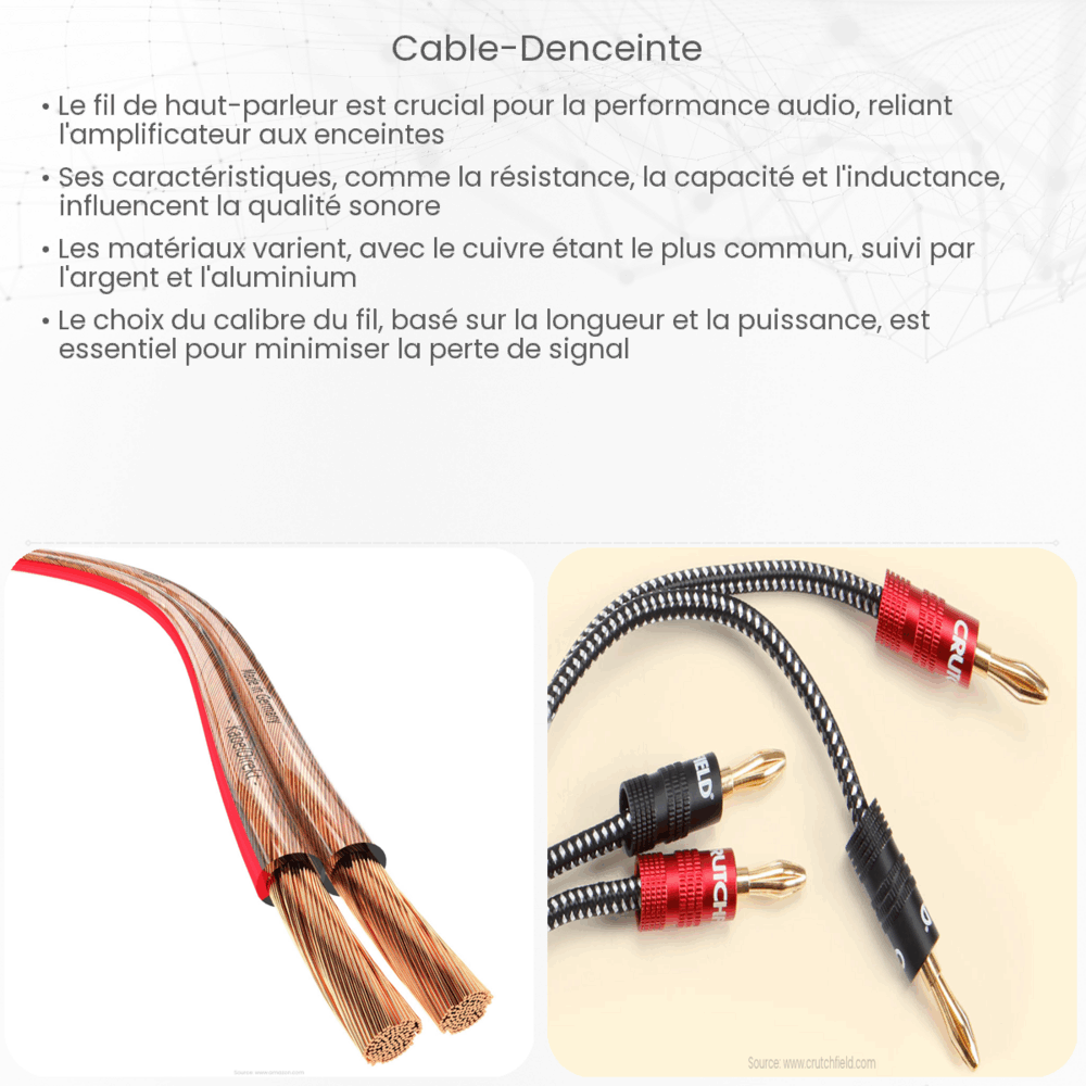 Câble d'enceinte