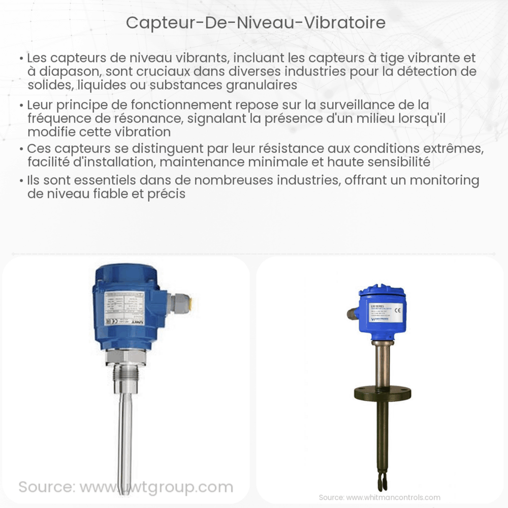 Capteur de niveau vibratoire
