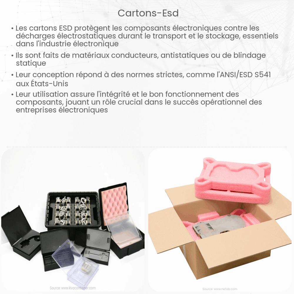 Cartons ESD