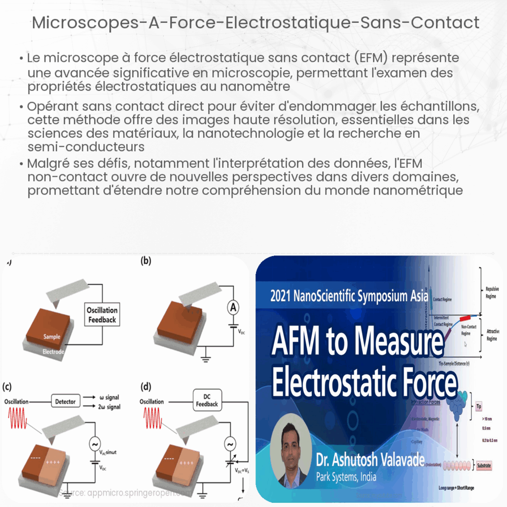 Microscopes à Force Électrostatique sans Contact