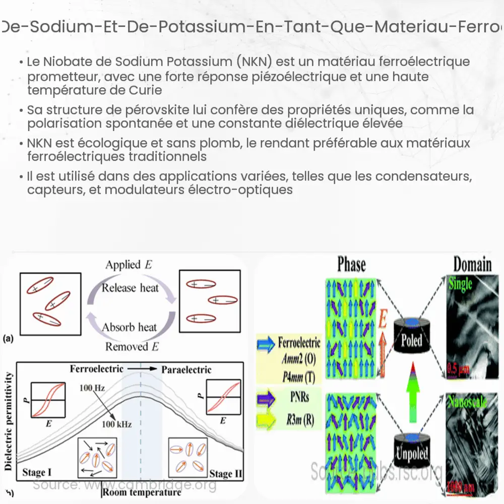 Niobate de sodium et de potassium en tant que matériau ferroélectrique