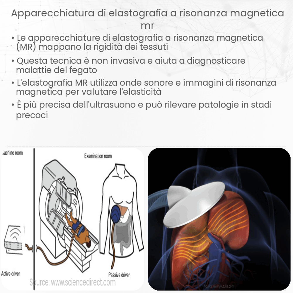 Apparecchiatura di elastografia a risonanza magnetica (MR)