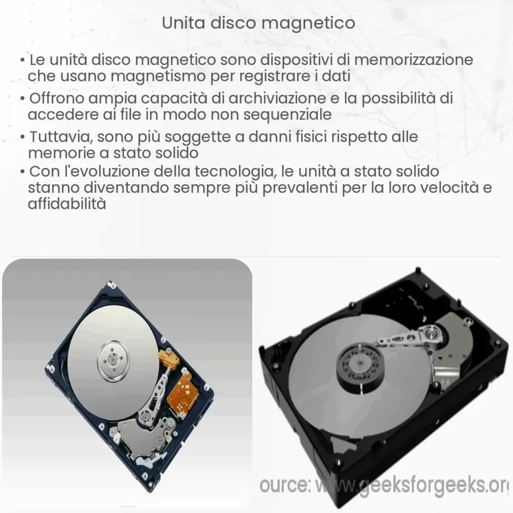 Unità Disco Magnetico