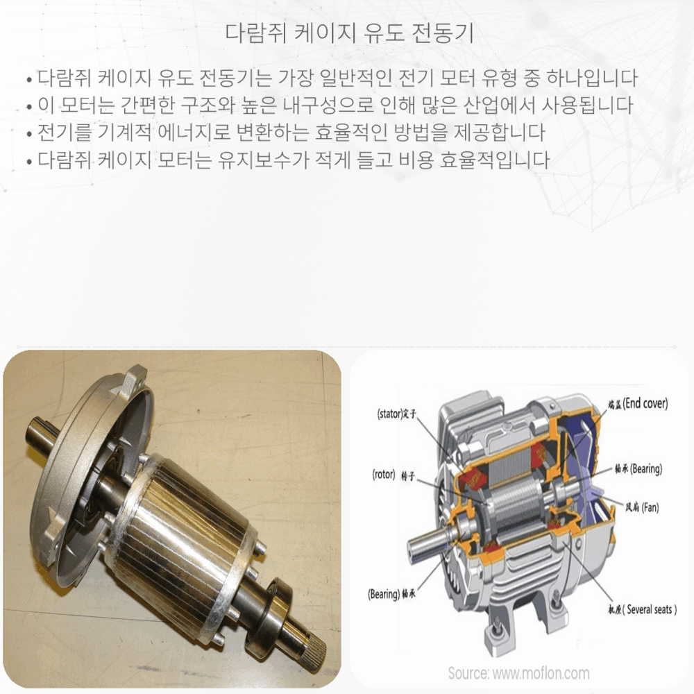 다람쥐 케이지 유도 전동기