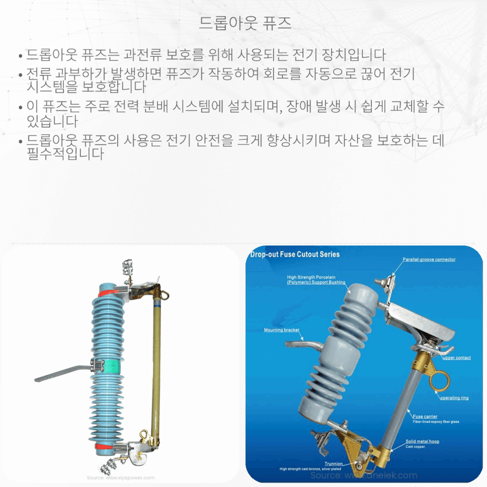 드롭아웃 퓨즈