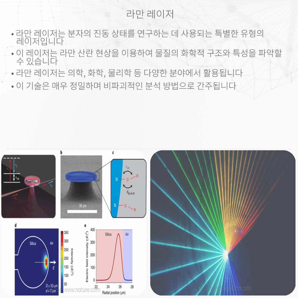 라만 레이저