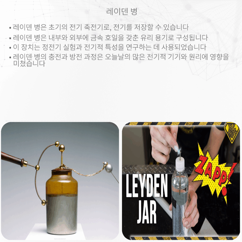 레이덴 병