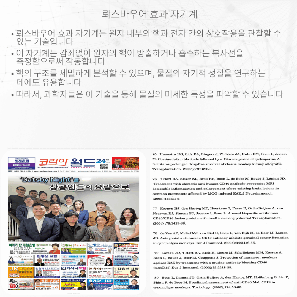 뢰스바우어 효과 자기계