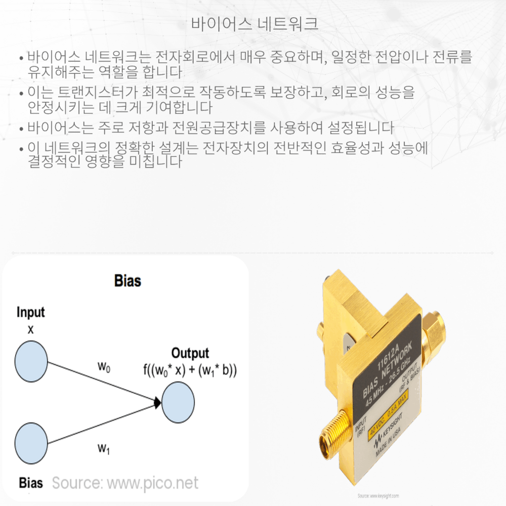 바이어스 네트워크