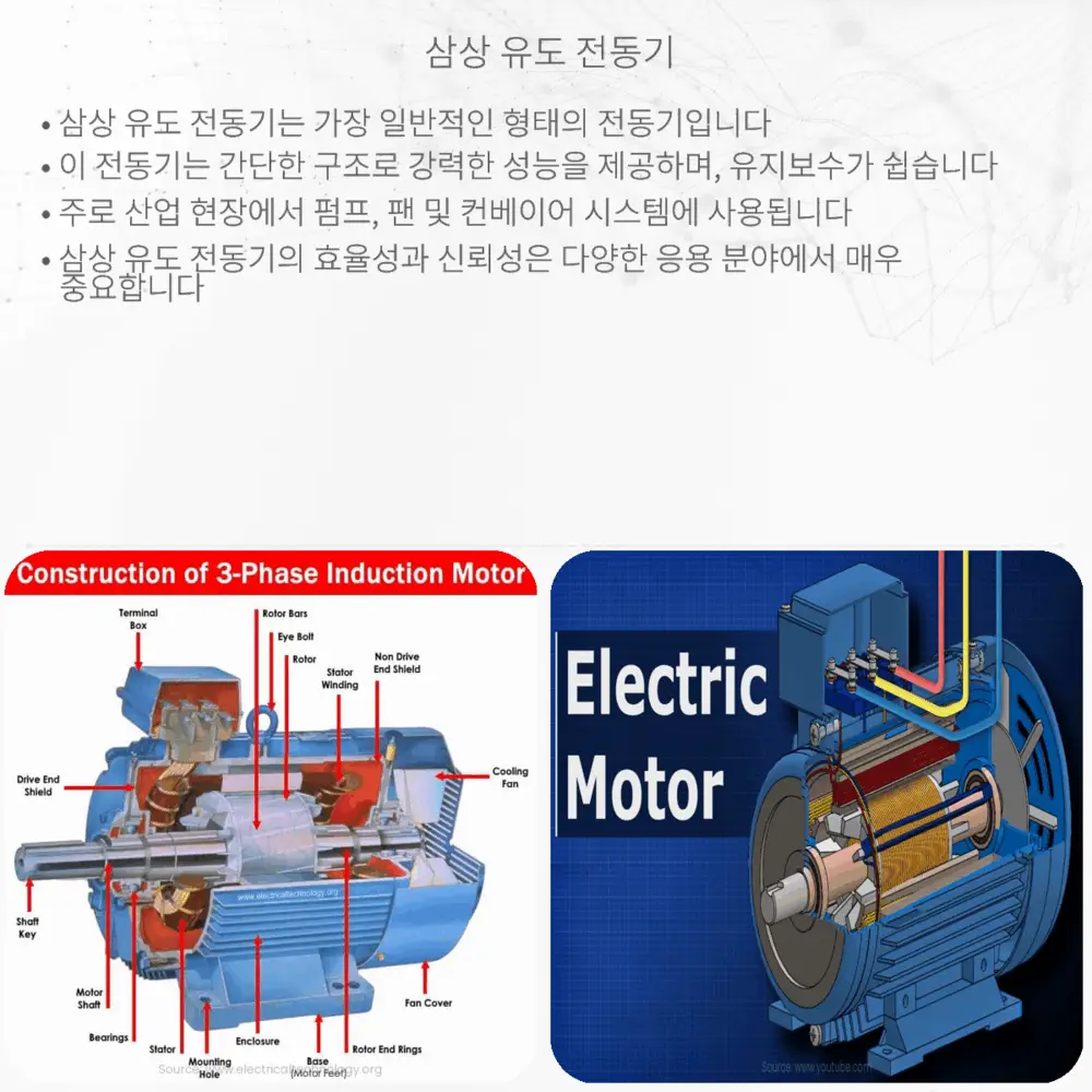 삼상 유도 전동기