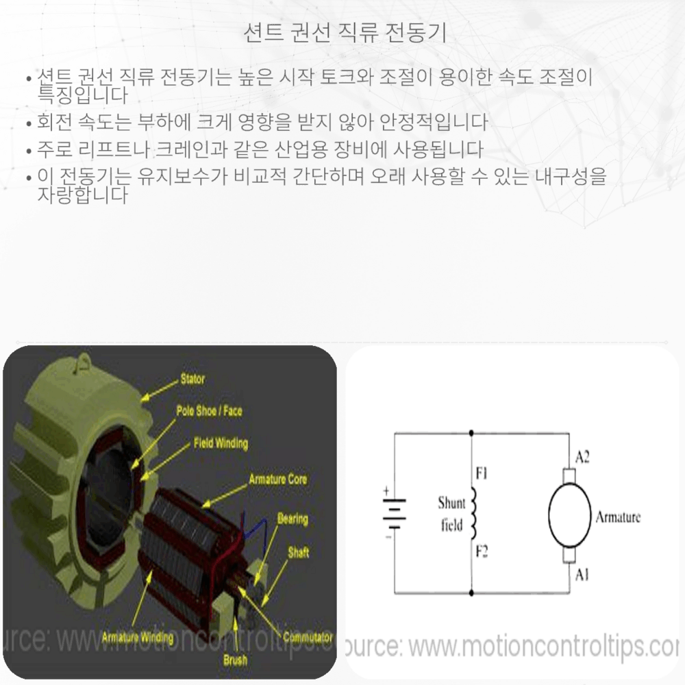 션트 권선 직류 전동기