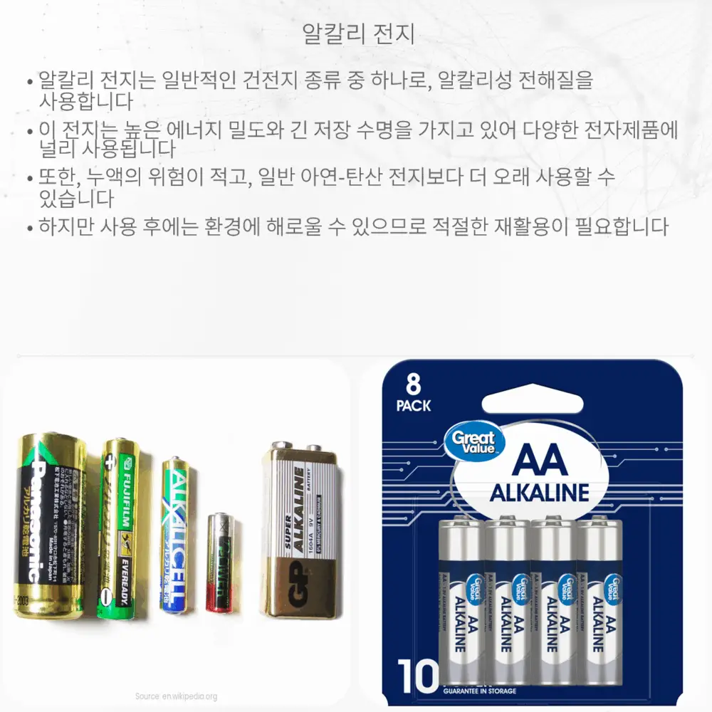 알칼리 전지