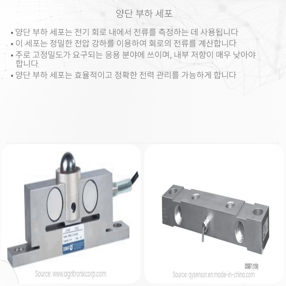 양단 부하 세포