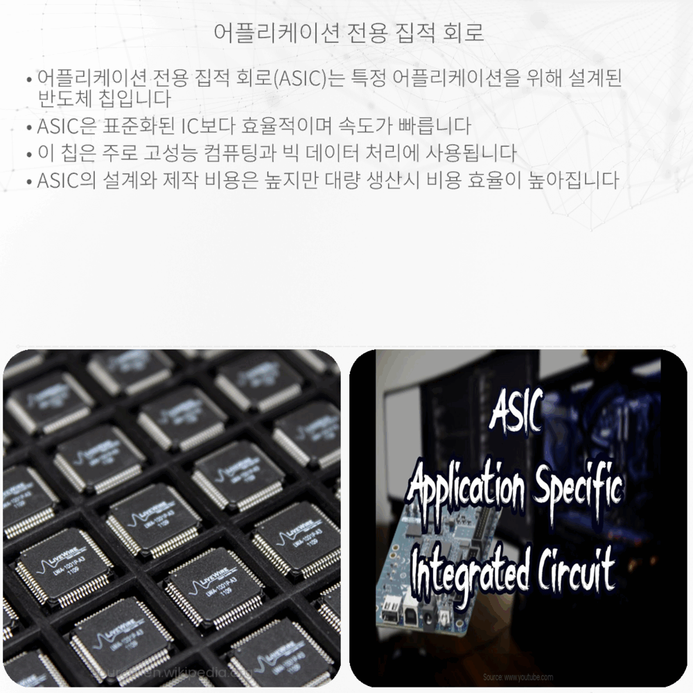 어플리케이션 전용 집적 회로