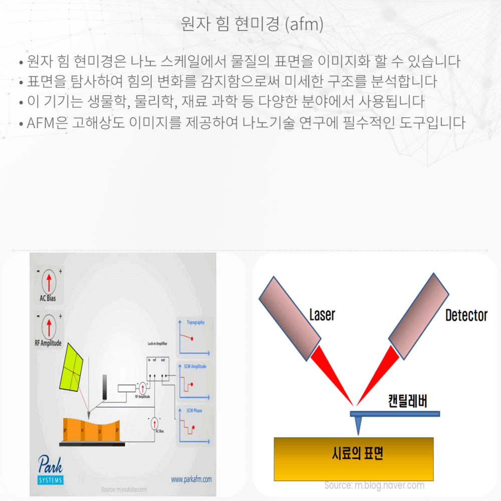 원자 힘 현미경 (AFM)