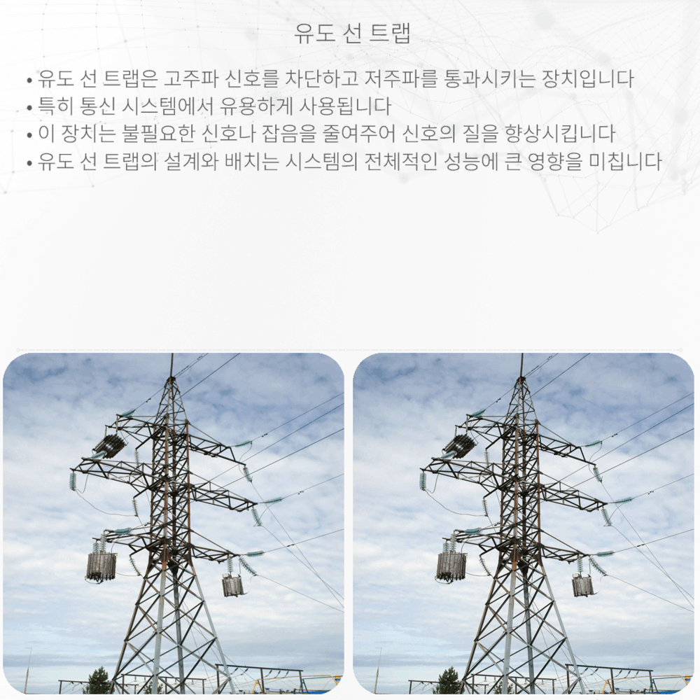 유도 선 트랩