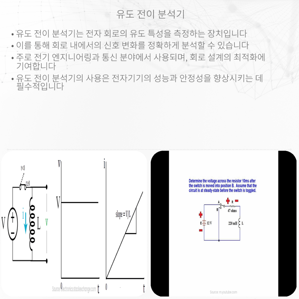 유도 전이 분석기