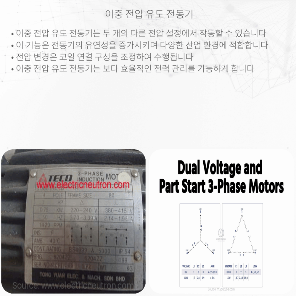 이중 전압 유도 전동기