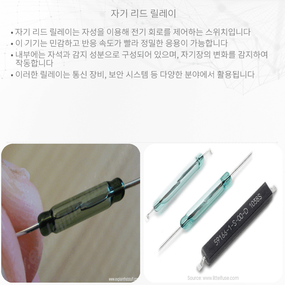 자기 리드 릴레이