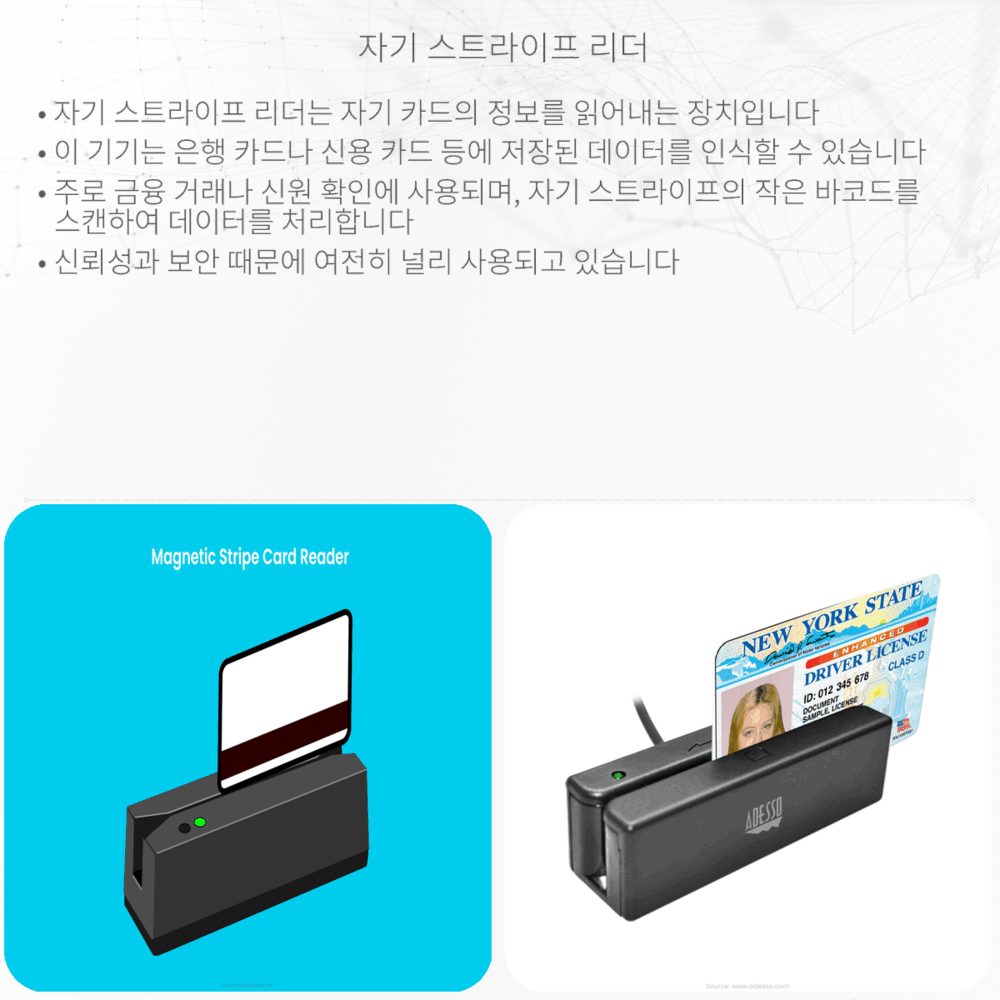 자기 스트라이프 리더