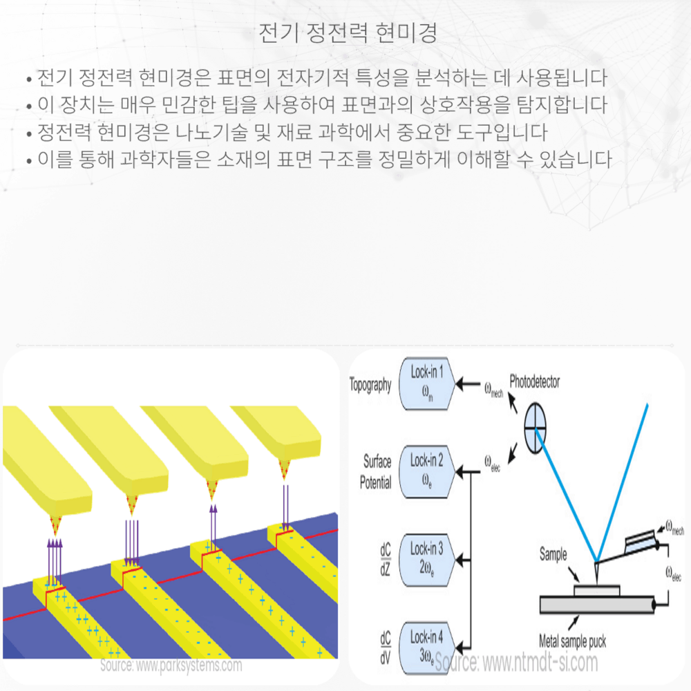 전기 정전력 현미경